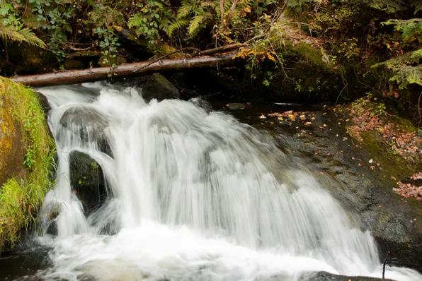 Waldblick_Hotel_Welness-2024